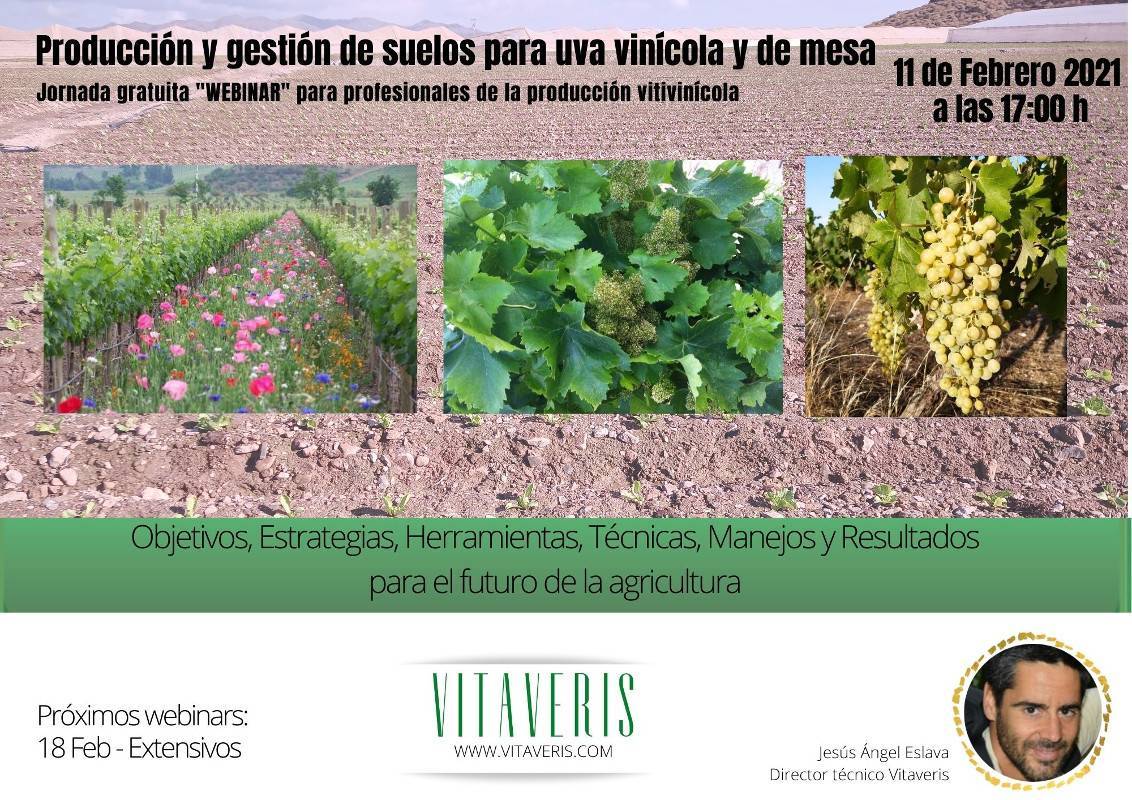 Producción y gestión de suelos para uva vinícola y de mesa