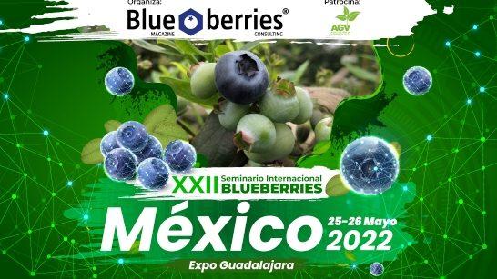 XXII Seminario Internacional Blueberries México 2022