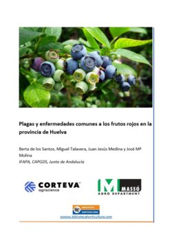 Plagas y enfermedades comunes a los frutos rojos en la provincia de Huelva