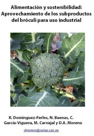 Alimentación y sostenibilidad: aprovechamiento de los subproductos del brócoli para uso industrial