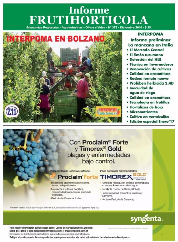 Informe FrutiHortícola Diciembre 2016