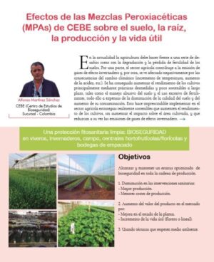Efectos de las Mezclas Peroxiacéticas de CEBE sobre suelo, raíz, producción y vida útil
