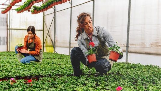The Path to Sustainability in Ornamental Horticulture