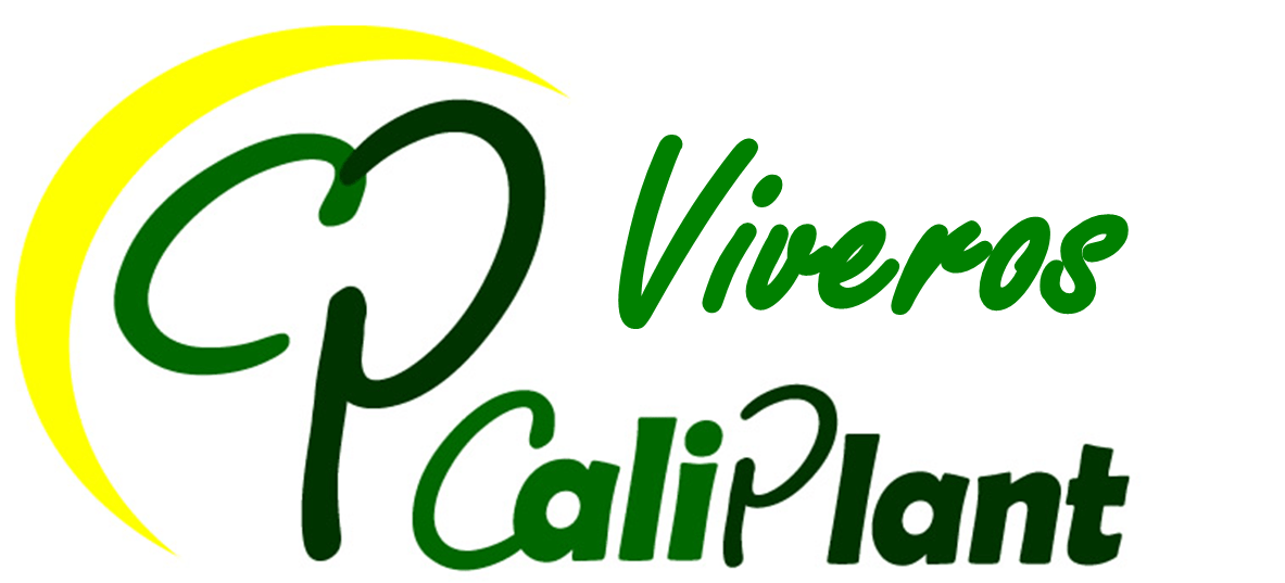 CaliPlant Viveros