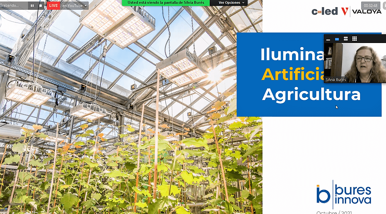 Iluminación artificial en agricultura e Investigación poscosecha en la UGR