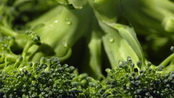 Fomento del consumo del brócoli como aliado en la salud