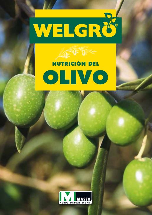 El olivo: Fertilización foliar y corrección de carencias